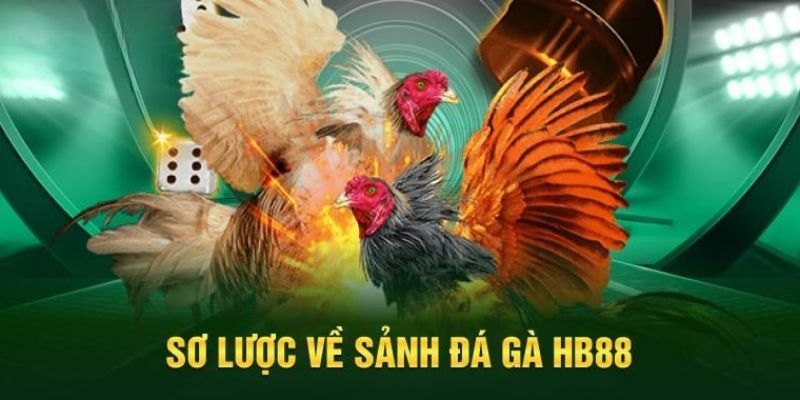 Chuyên mục giải trí ấn tượng