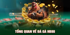 Đá gà HB88