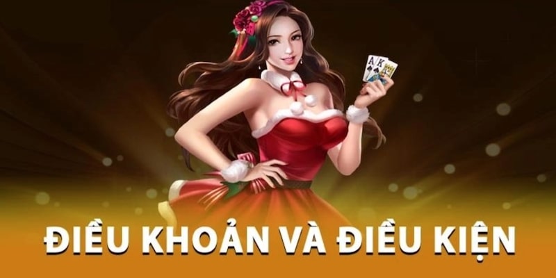 Điều khoản và điều kiện cùng nghĩa vụ của hội viên