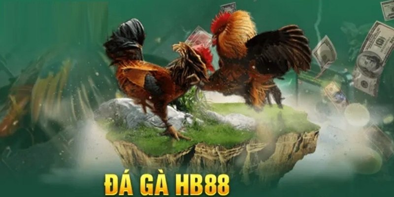 HB88 điểm dừng chân lý tưởng theo dõi chọi gà