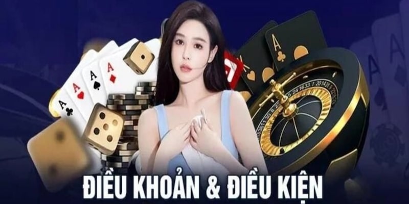 Nội dung chung của điều khoản và điều kiện
