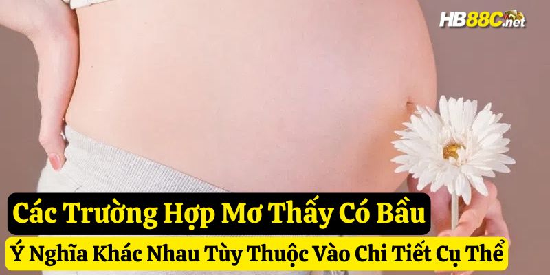 giấc mơ có bầu hb88