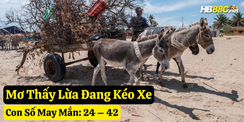 giấc mơ thấy con lừa đánh gì hb88