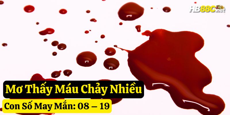 giấc mơ thấy máu hb88