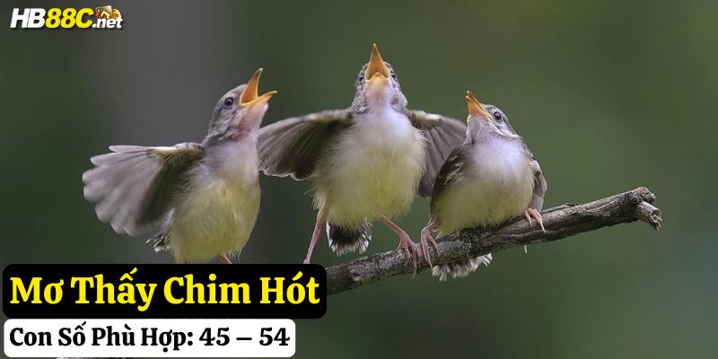 hb88 giấc mơ thấy chim đánh gì