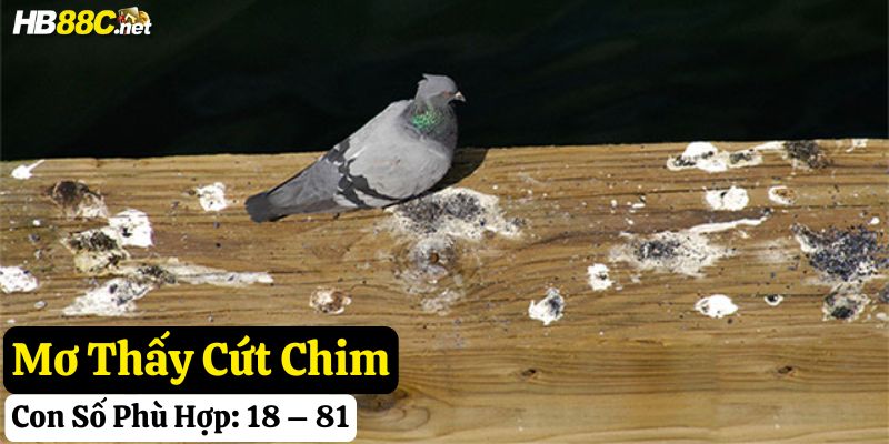 hb88 giấc mơ thấy cứt