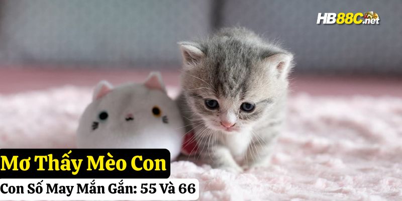 hb88 giấc mơ thấy mèo