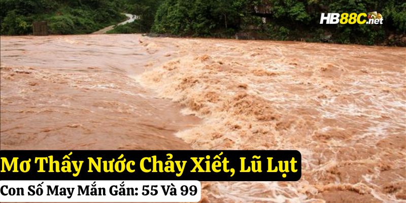 hb88 giấc mơ thấy nước