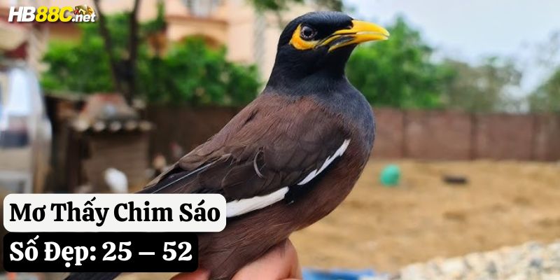 hb88 mơ chim