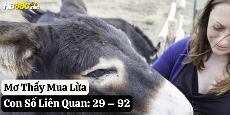 hb88 mơ con lừa
