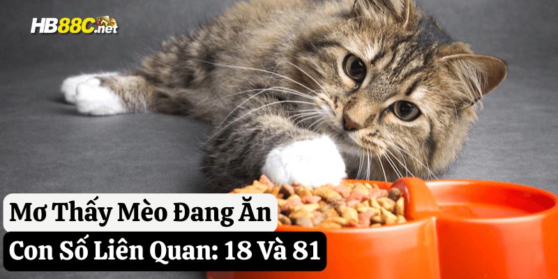 hb88 mơ mèo