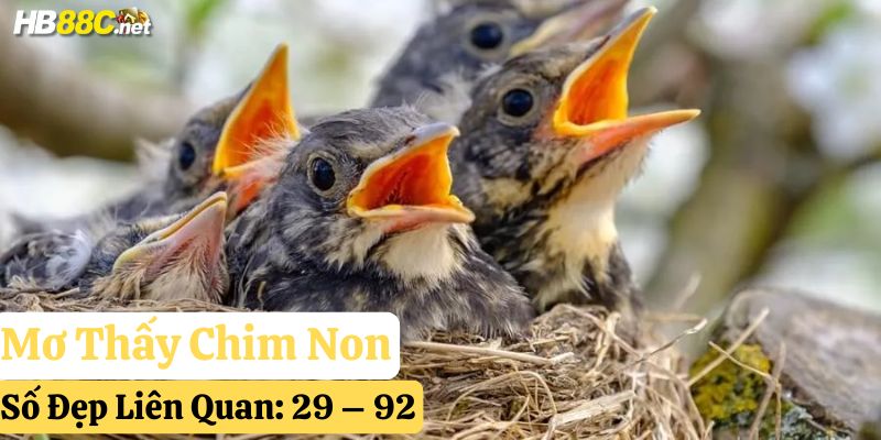 hb88 mơ thấy chim