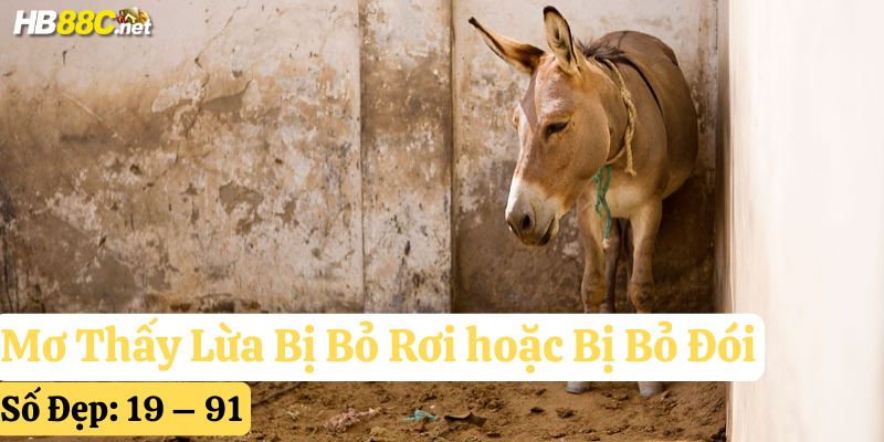 hb88 mơ thấy con lừa