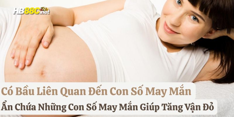 mơ bầu hb88