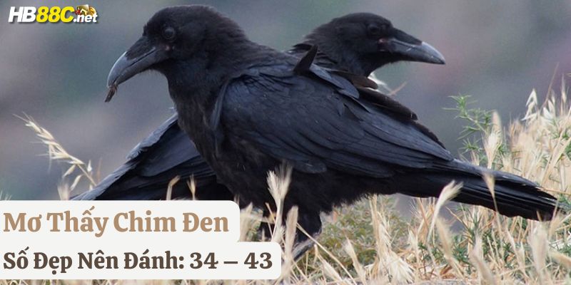 nằm mơ thấy chim đánh số gì