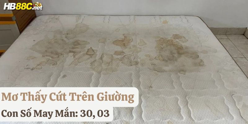 mơ cứt hb88