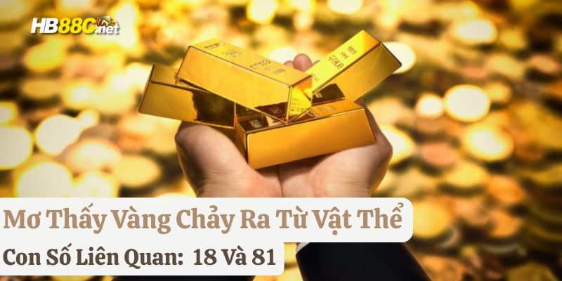 mơ vàng hb88