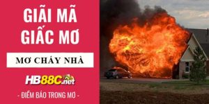 nằm mơ thấy cháy nhà hb88