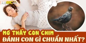 nằm mơ thấy chim đánh số gì hb88