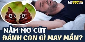 nằm mơ thấy cứt hb88