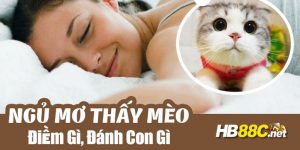 nằm mơ thấy mèo hb88