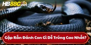gặp rắn đánh con gì hb88 thumb