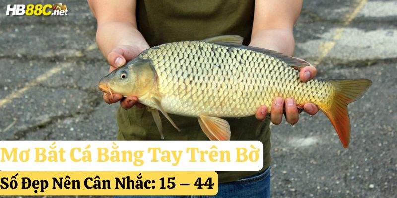 mơ bắt cá bằng tay đánh con gì