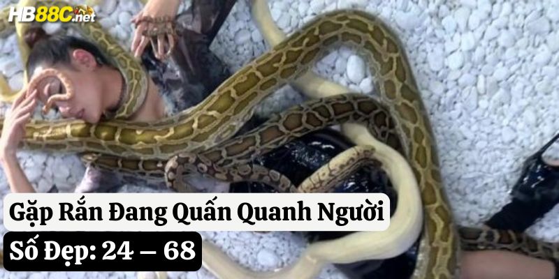 gặp rắn đánh con gì hb88