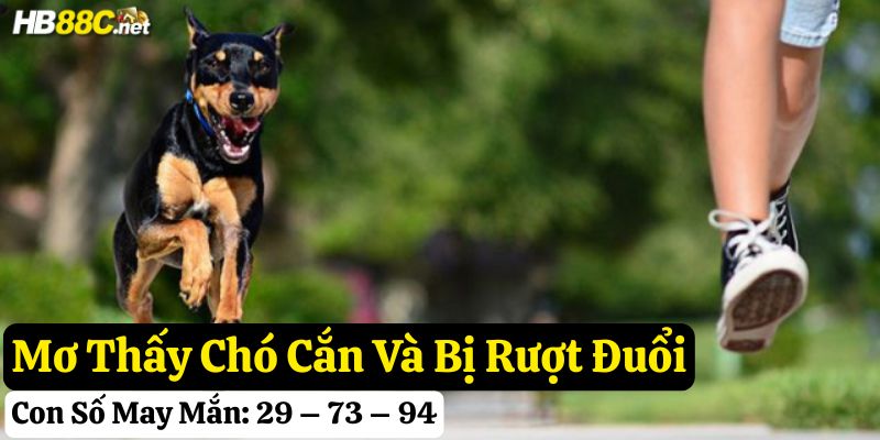 nằm mơ thấy chó cắn