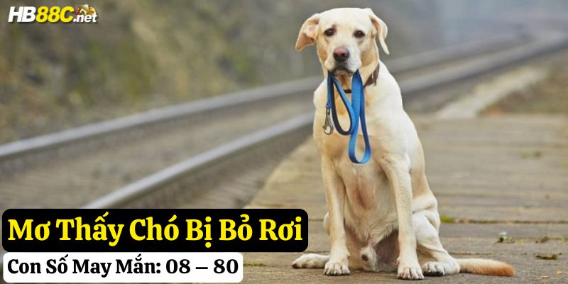 mơ thấy chó đánh gì