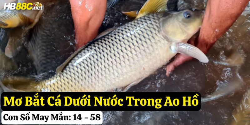 mơ bắt cá bằng tay đánh số gì