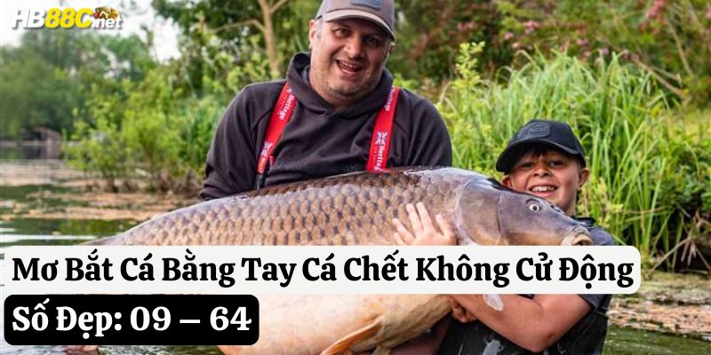mơ bắt cá bằng tay đánh con gì hb88