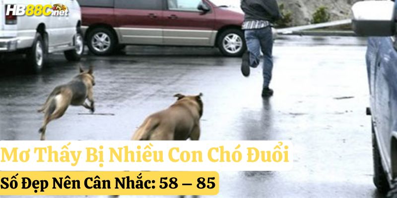 mơ thấy chó đánh con gì
