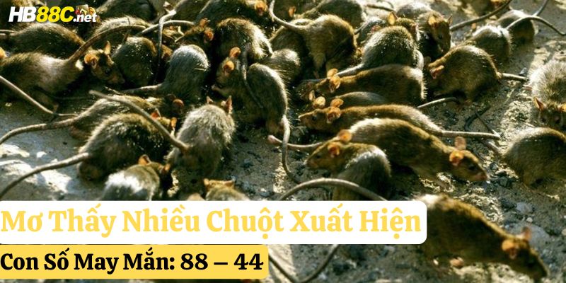 nằm mơ thấy chuột