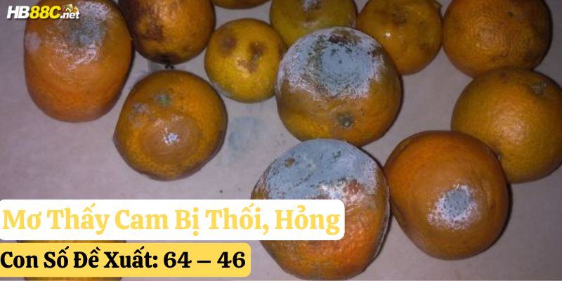 mơ thấy quả cam hb88