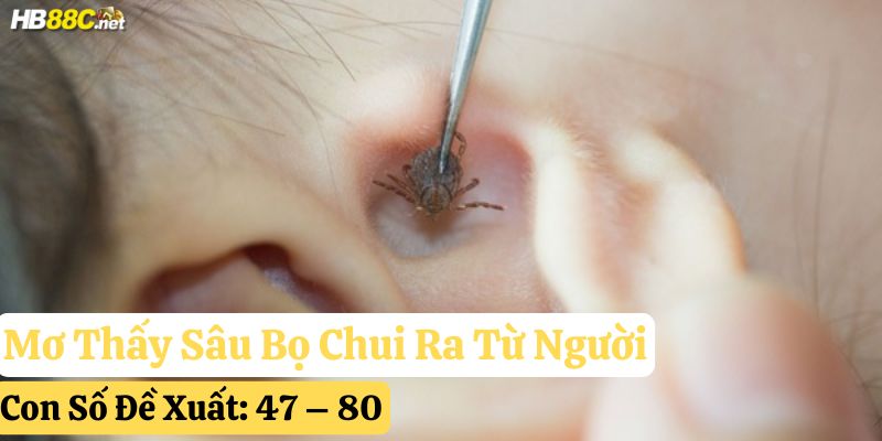 mơ thấy sâu bọ hb88