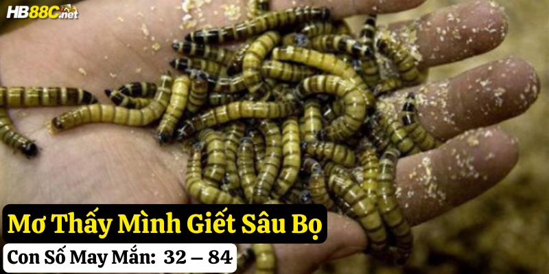 mơ thấy sâu bọ