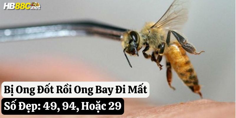 tự nhiên bị ong đốt đánh con gì