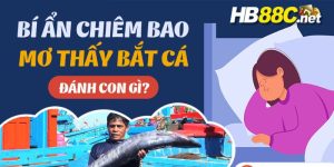 mơ bắt cá bằng tay đánh con gì hb88 thumb