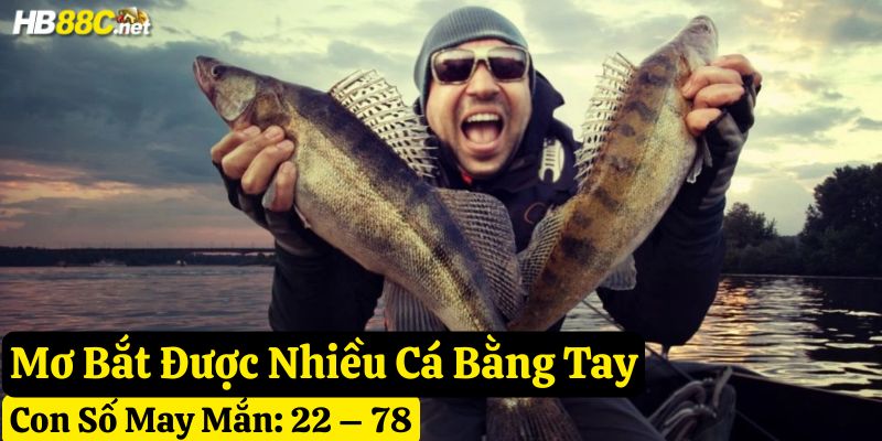 mơ bắt cá bằng tay đánh gì