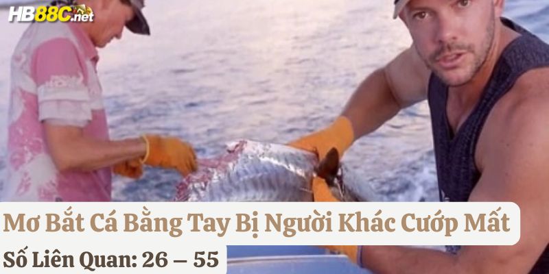 mơ bắt cá bằng tay