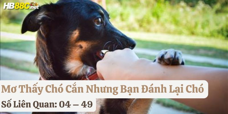nằm mơ chó cắn hb88