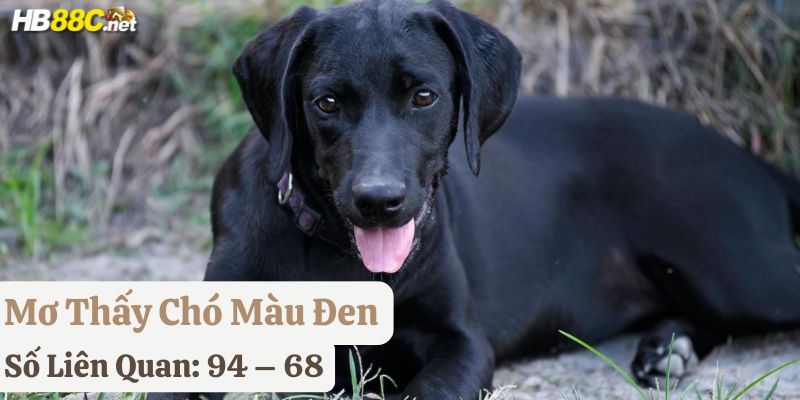mơ thấy chó đánh con gì 88nn