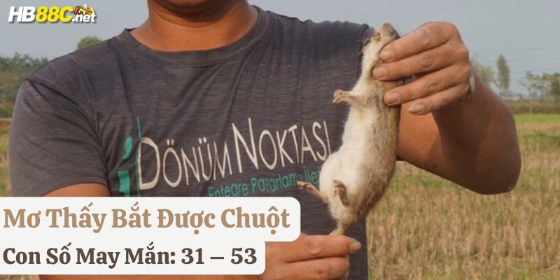 nằm mơ thấy chuột hb88