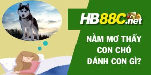 mơ thấy chó đánh con gì 88nn thumb