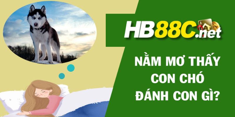 mơ thấy chó đánh con gì 88nn thumb