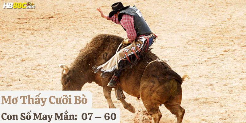 nằm mơ thấy con bò