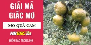 mơ thấy quả cam hb88 thumb
