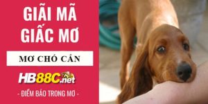 nằm mơ chó cắn hb88 thumb