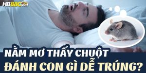 nằm mơ thấy chuột hb88 thumb